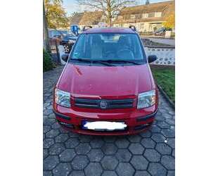 Fiat Panda Gebrauchtwagen