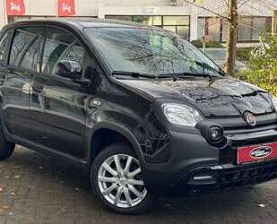 Fiat Panda Gebrauchtwagen