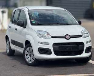Fiat Panda Gebrauchtwagen