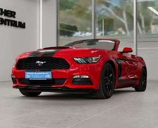 Ford Mustang Gebrauchtwagen