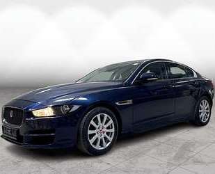 Jaguar XE Gebrauchtwagen