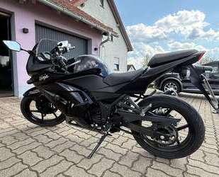 Kawasaki Ninja 250 R Gebrauchtwagen