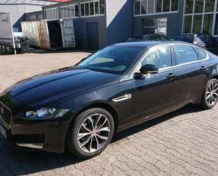 Jaguar XF Gebrauchtwagen