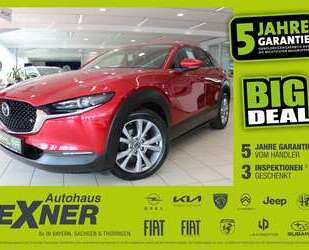 Mazda CX-30 Gebrauchtwagen