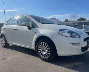 Fiat Punto Gebrauchtwagen