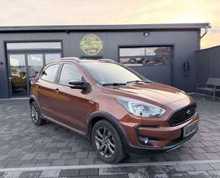 Ford Ka/Ka+ Gebrauchtwagen