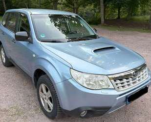 Subaru Forester Gebrauchtwagen
