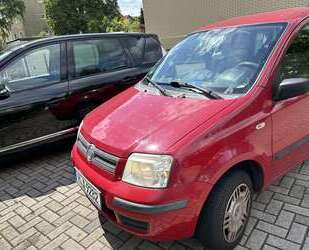 Fiat Panda Gebrauchtwagen