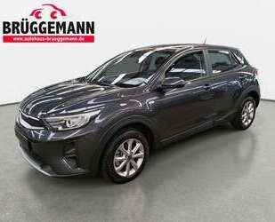 Kia Stonic Gebrauchtwagen