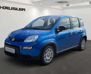 Fiat Panda Gebrauchtwagen