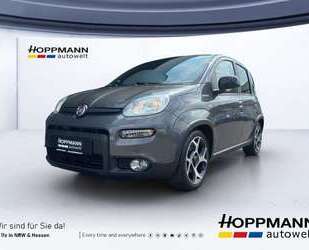 Fiat Panda Gebrauchtwagen