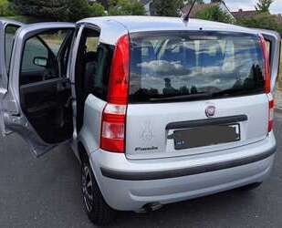 Fiat Panda Gebrauchtwagen