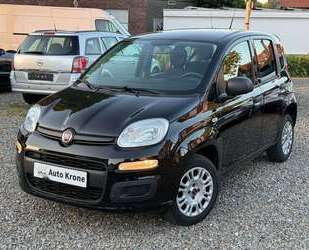 Fiat Panda Gebrauchtwagen