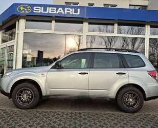 Subaru Forester Gebrauchtwagen