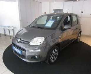 Fiat Panda Gebrauchtwagen