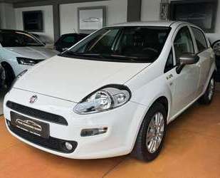 Fiat Punto Gebrauchtwagen