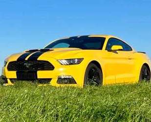 Ford Mustang Gebrauchtwagen