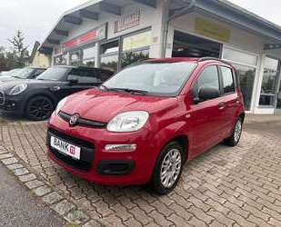 Fiat Panda Gebrauchtwagen