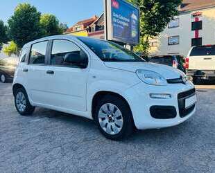 Fiat Panda Gebrauchtwagen
