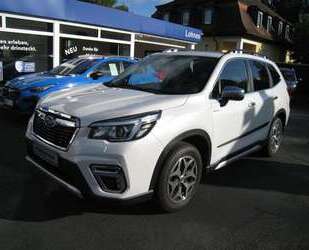 Subaru Forester Gebrauchtwagen