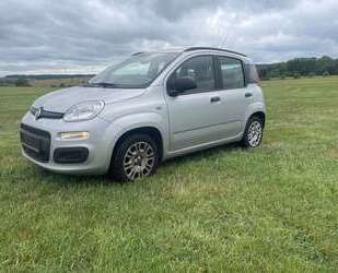 Fiat Panda Gebrauchtwagen
