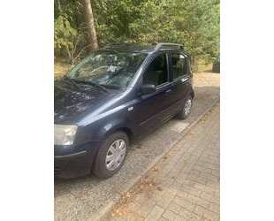 Fiat Panda Gebrauchtwagen