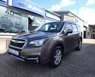 Subaru Forester Gebrauchtwagen