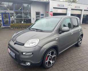 Fiat Panda Gebrauchtwagen