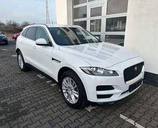 Jaguar F-Pace Gebrauchtwagen