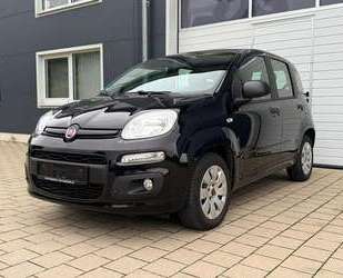 Fiat Panda Gebrauchtwagen