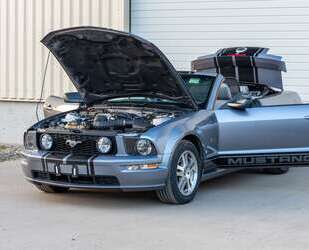 Ford Mustang Gebrauchtwagen