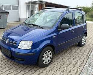 Fiat Panda Gebrauchtwagen