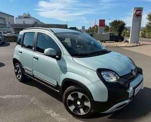 Fiat Panda Gebrauchtwagen