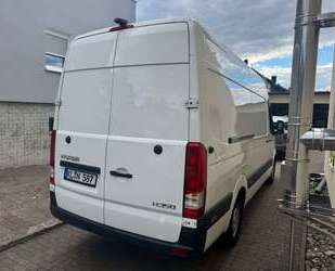 Hyundai H 350 Gebrauchtwagen