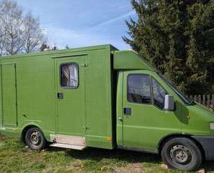 Fiat Ducato Gebrauchtwagen