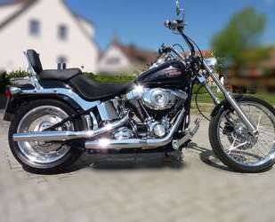 Harley Davidson Softail Gebrauchtwagen