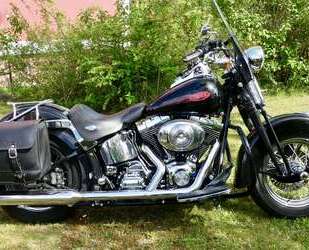 Harley Davidson Softail Gebrauchtwagen