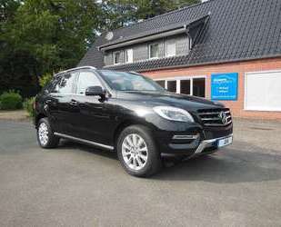 Mercedes-Benz ML 350 Gebrauchtwagen