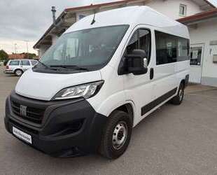 Fiat Ducato Gebrauchtwagen