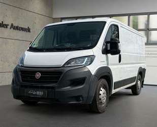 Fiat Ducato Gebrauchtwagen