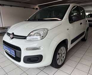 Fiat New Panda Gebrauchtwagen
