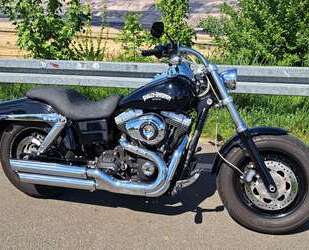 Harley Davidson Dyna Fat Bob Gebrauchtwagen