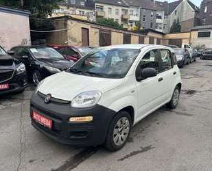 Fiat Panda Gebrauchtwagen