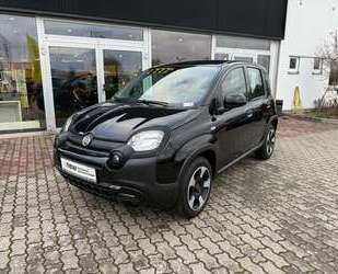 Fiat Panda Gebrauchtwagen