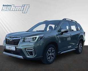 Subaru Forester Gebrauchtwagen