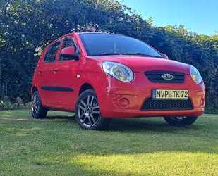 Kia Picanto Gebrauchtwagen