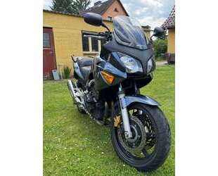 Honda CBF 600 Gebrauchtwagen