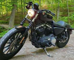 Harley Davidson Iron 883 Gebrauchtwagen