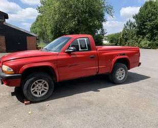Dodge Dakota Gebrauchtwagen