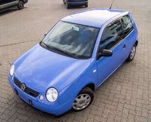 Harley Davidson Lupo 